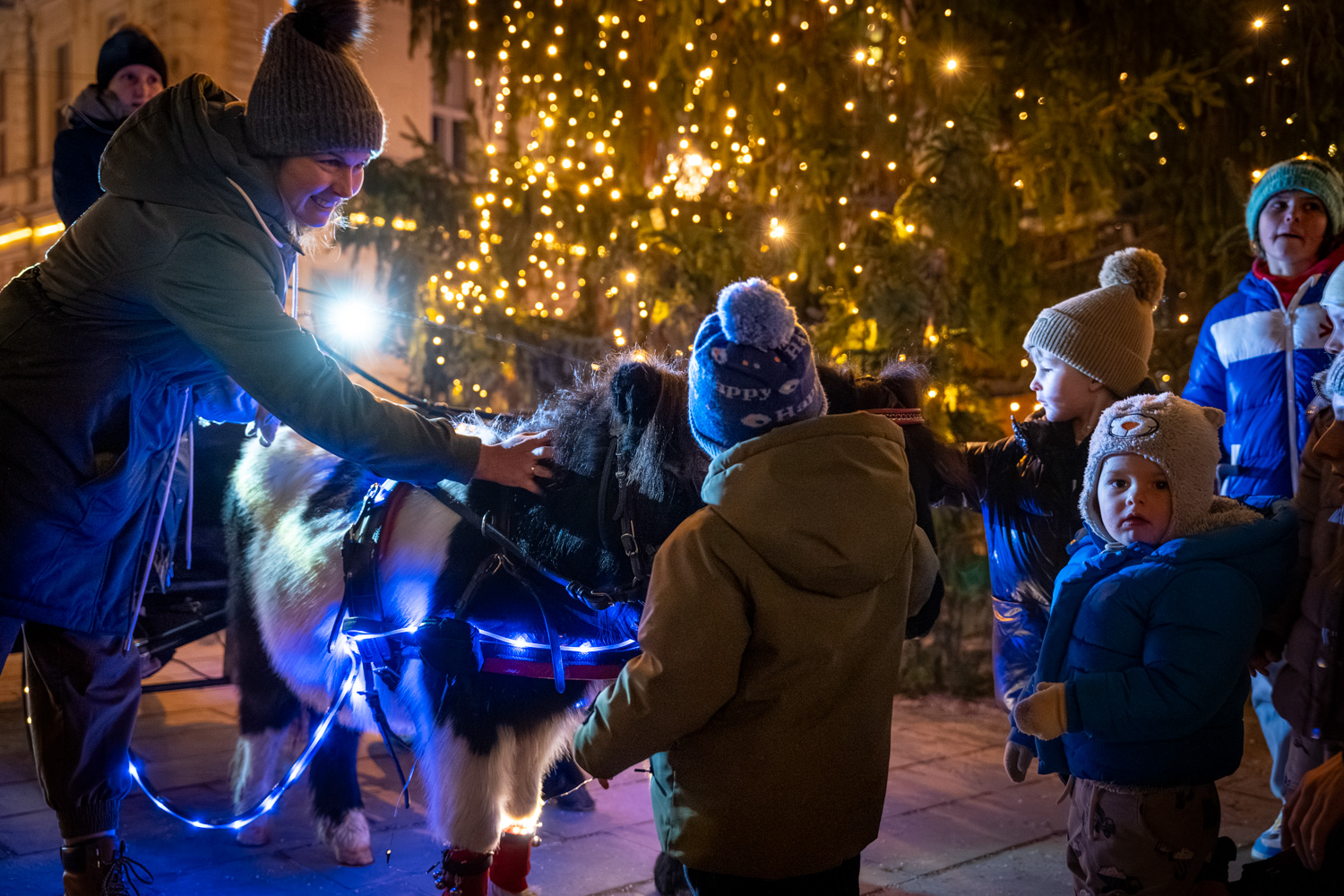 Luči Pravljične Šutne  (2)